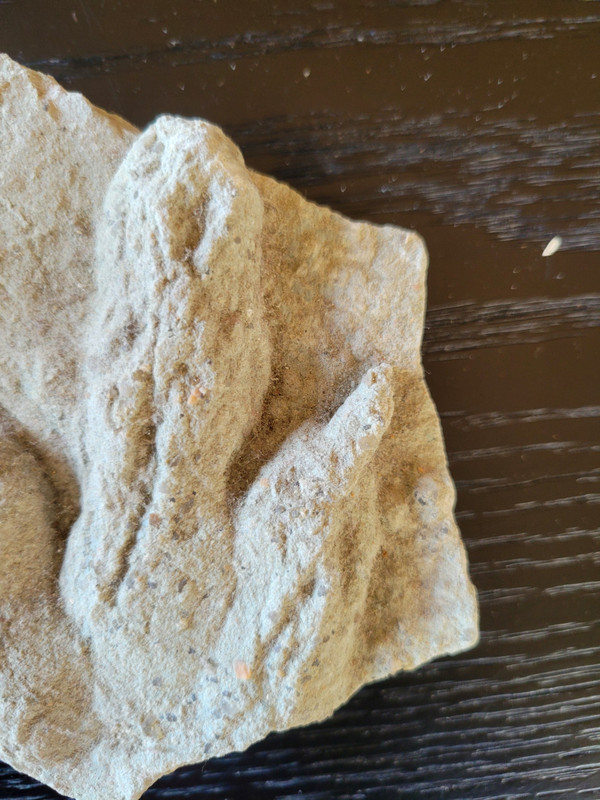 Geological plaque of tridactyl footprints of bipedal dinosaurs from the Veillon infralias (Vendée)