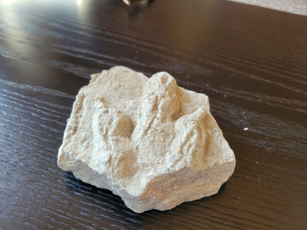 Geological plaque of tridactyl footprints of bipedal dinosaurs from the Veillon infralias (Vendée)