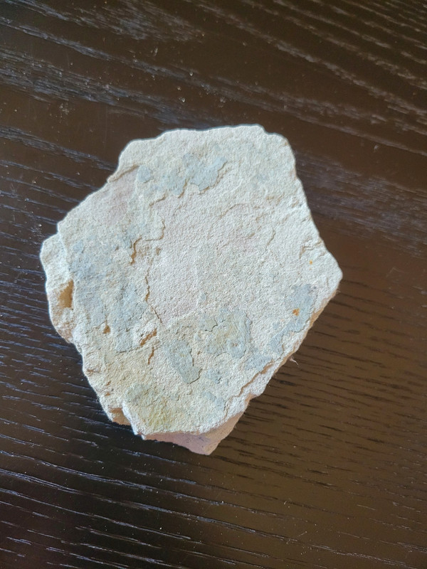 Geological plaque of tridactyl footprints of bipedal dinosaurs from the Veillon infralias (Vendée)