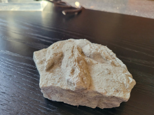 Geological plaque of tridactyl footprints of bipedal dinosaurs from the Veillon infralias (Vendée)