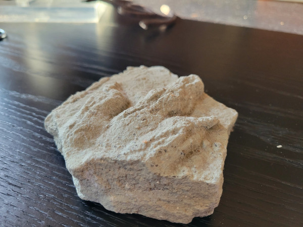 Geological plaque of tridactyl footprints of bipedal dinosaurs from the Veillon infralias (Vendée)