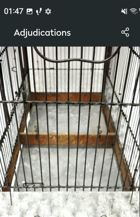 Cage pagode 19e siècle  