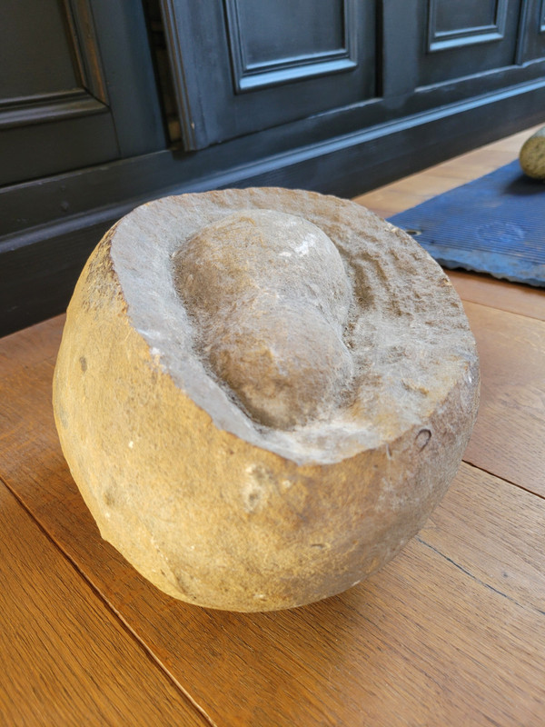 Fossil presented as a dinosaur egg