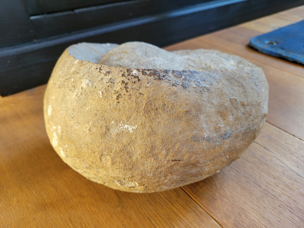 Fossil presented as a dinosaur egg