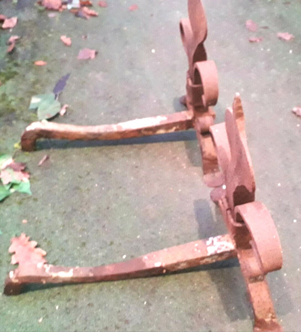 pair of fleur de lys andirons