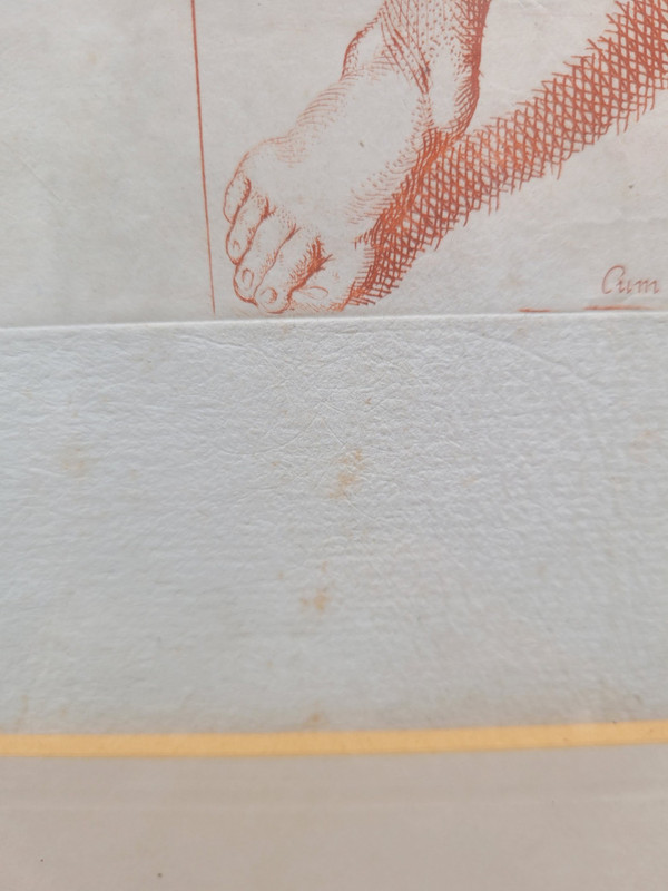 Coppia di incisioni nello stile della sanguigna (gesso rosso) 