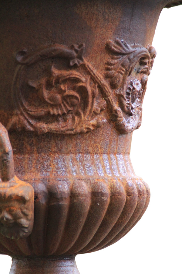 Two Large Medici Vases on their cast iron bases 
