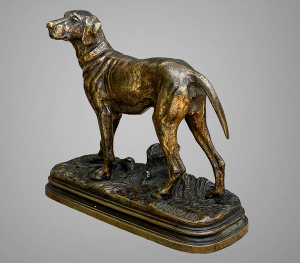 BRONZE ANCIEN SIGNÉ "ALFRED DUBUCAND 1828-1894 " REPRESENTANT UN CHIEN de CHASSE