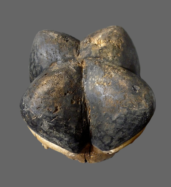 Maskenhelm oder Helm Ngontang der Reißzähne