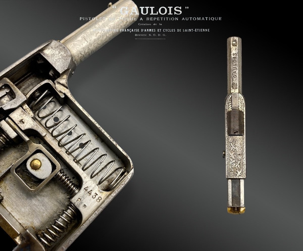 Pistola automatica a ripetizione “GAULOIS” N°2, argento, con fondina - Francia - XIX secolo