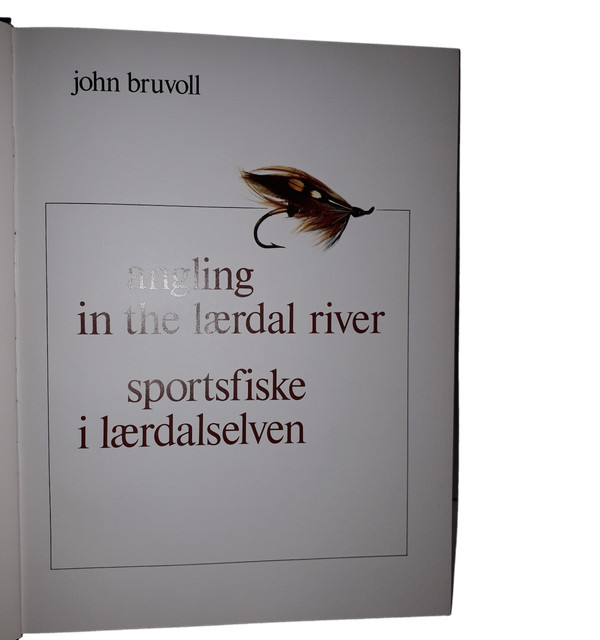 Buchen Sie Angeln im Fluss Laerdal Sportsfiske i Laerdalselven (Angeln)