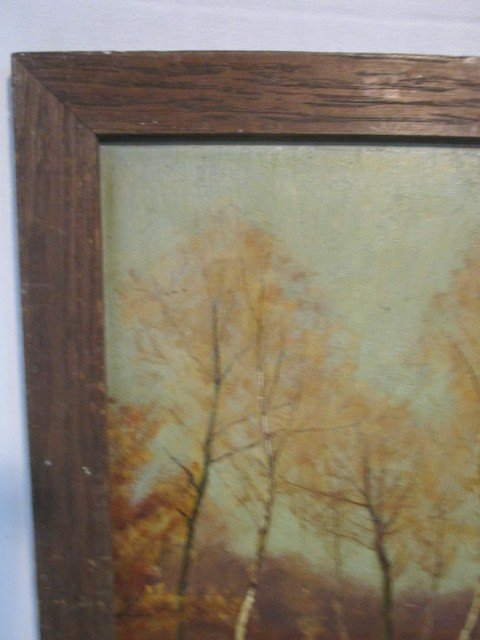 "forest study"