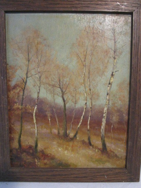 "forest study"