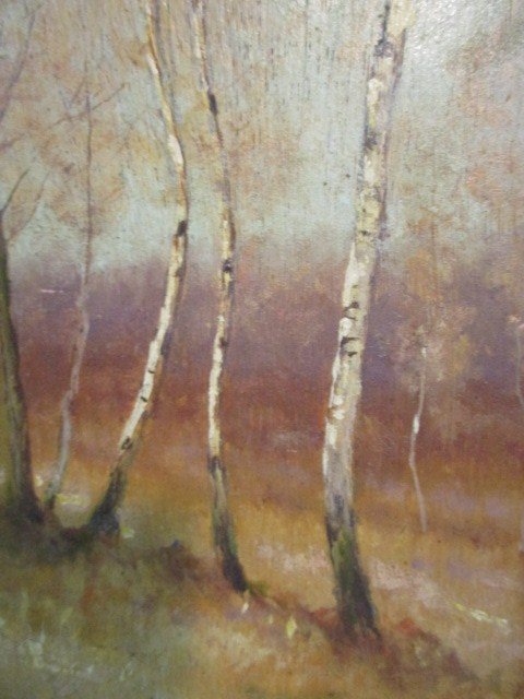 "forest study"