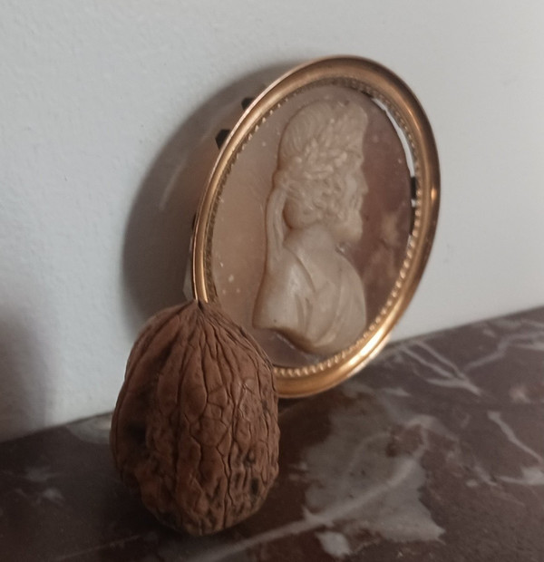 Souvenir du Grand Tour - Ariosto medallion Cameo style - alabaster