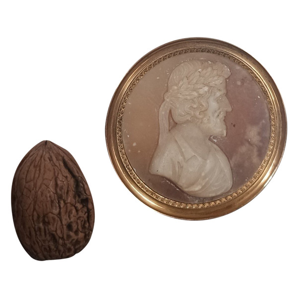 Souvenir du Grand Tour - Ariosto medallion Cameo style - alabaster
