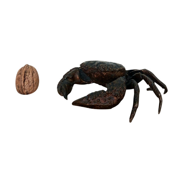 Kunstkammer - crabe en bronze patiné - genre de Padoue à la Renaissance