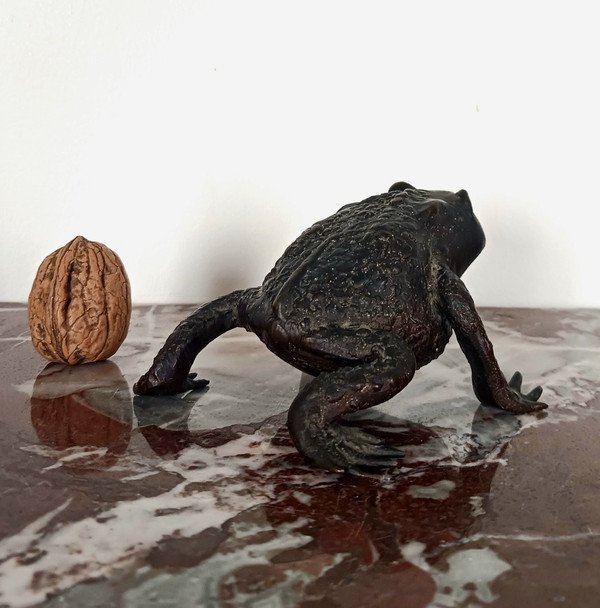 Kunstkammer - Rospo in bronzo patinato - stile rinascimentale da Padova