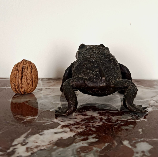 Kunstkammer - Rospo in bronzo patinato - stile rinascimentale da Padova