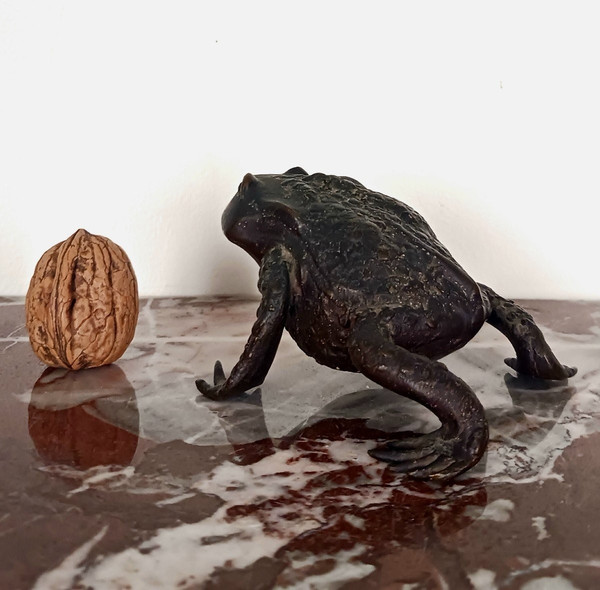 Kunstkammer - Rospo in bronzo patinato - stile rinascimentale da Padova