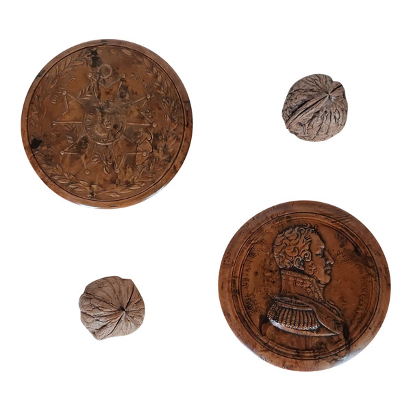 France, Louis Philippe period - double-sided burrwood box - pressed wood, tortoiseshell base