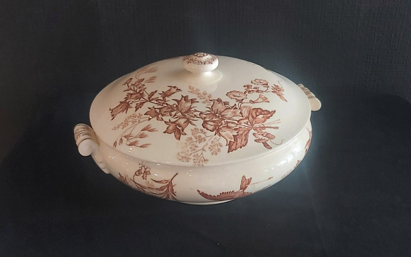Set of Longwy "Botanique" serving dishes