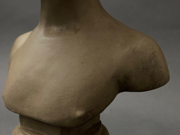 Da Jean-Antoine Houdon Busto in terracotta patinata di Louise Brongniart
