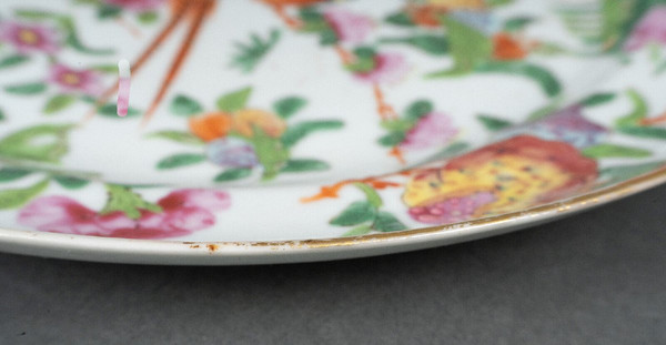 19th century Canton porcelain plate with floral and butterfly design