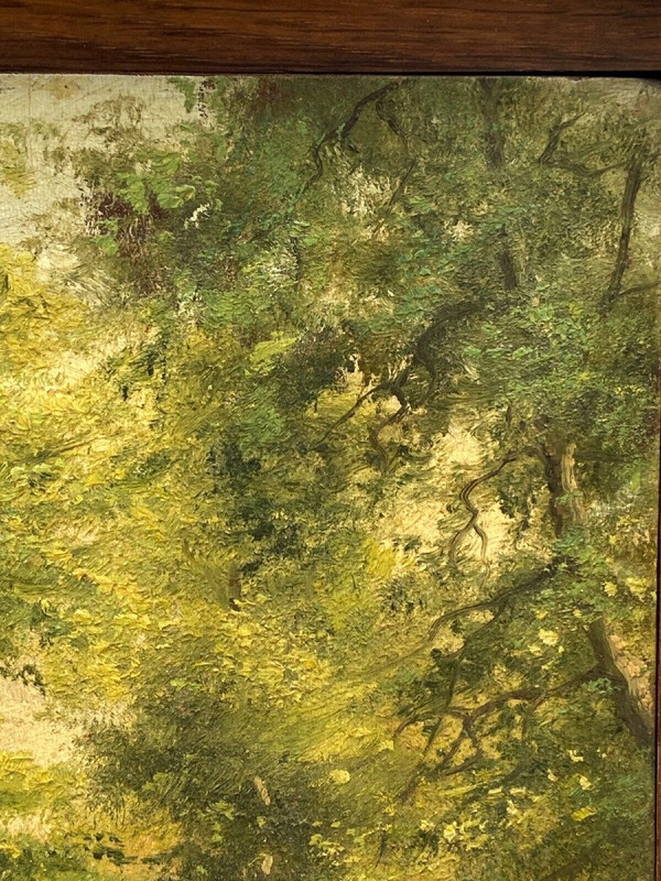 Olio su tavola promenade des artistes à Spa Sous-bois de Spa XX secolo