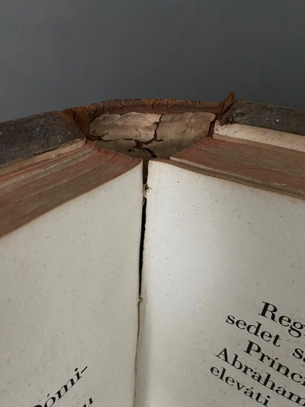 Buch Psalter Diözese Nantes J.-F. de Hercé Imp. Bourgine 1847
