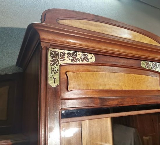 Biblioteca Edouard Diot Art Nouveau