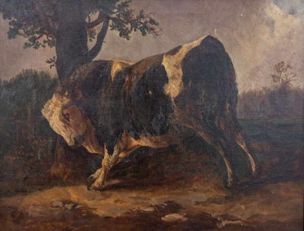 Huile sur toile taureau se frottant contre un arbre d'après Brascassat
