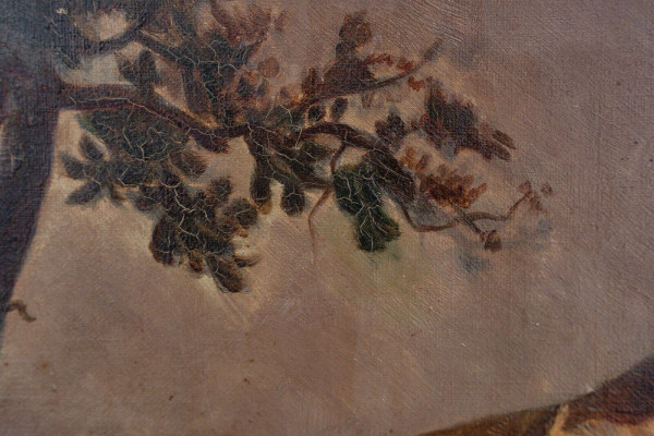 Huile sur toile taureau se frottant contre un arbre d'après Brascassat