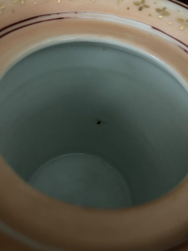 Cache-pot époque Louis-Philippe décor romantique XIXe fond vert