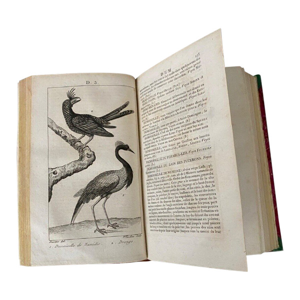 Nuovo Dizionario di Storia Naturale 5 volumi Desterville 1803