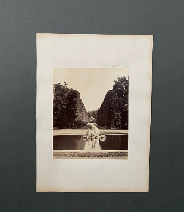 Photo Parc de Schoenbrunn XIXe albumine carton contrecollé