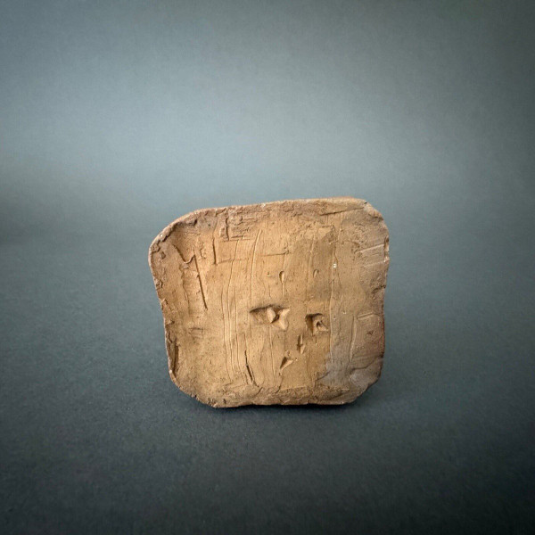 Terracotta firmata L. Desborde XIX secolo Uno studente del 1° anno