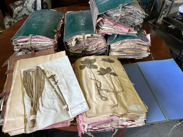 Rare Set Of Six Herbarium Volumes By L CADIX Late 19th Century Circa 1880 - 1900