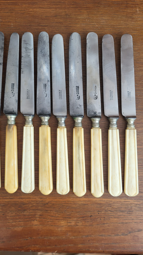 12 Messer, Stahlklinge, Elfenbeingriff, 19. Jahrhundert