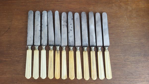 12 Messer, Stahlklinge, Elfenbeingriff, 19. Jahrhundert