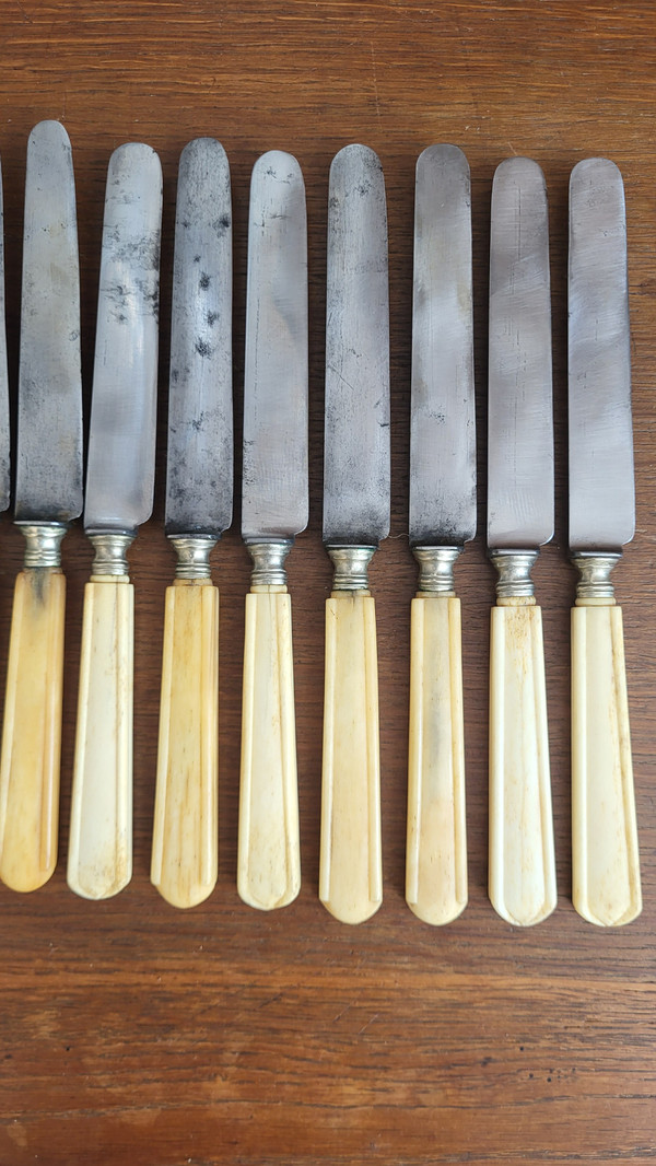 12 Messer, Stahlklinge, Elfenbeingriff, 19. Jahrhundert
