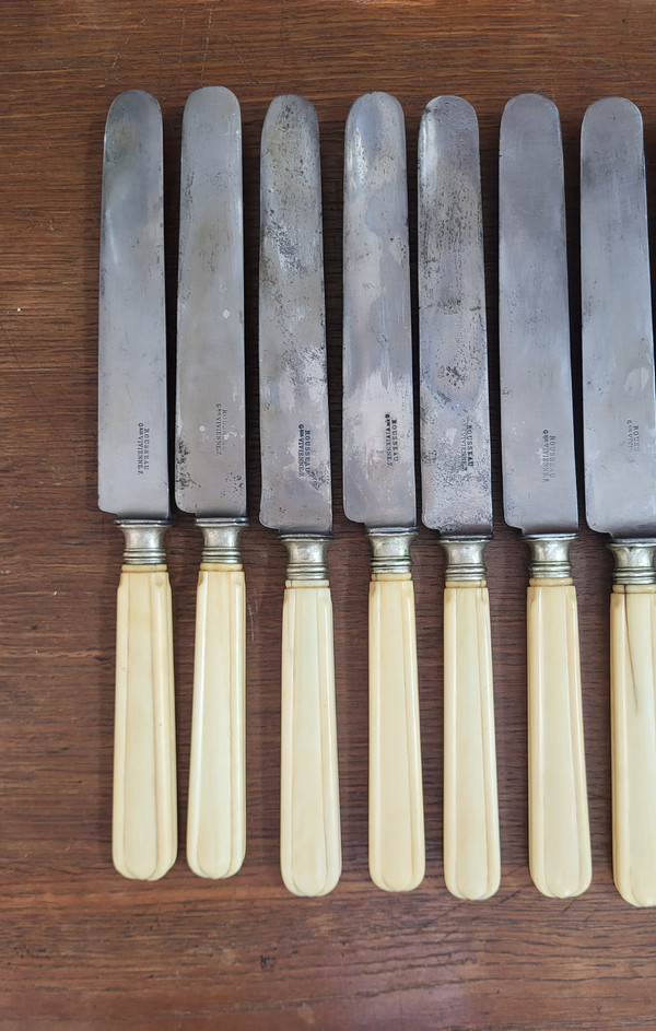 12 table knives, steel blade and ivory handle