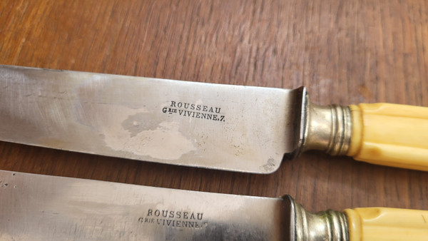 12 table knives, steel blade and ivory handle