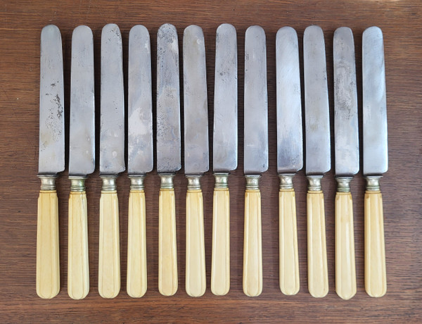 12 table knives, steel blade and ivory handle
