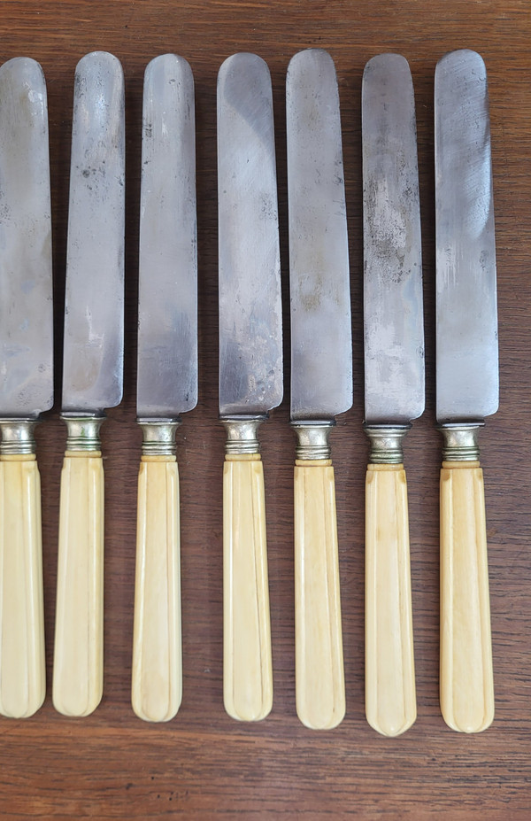 12 table knives, steel blade and ivory handle