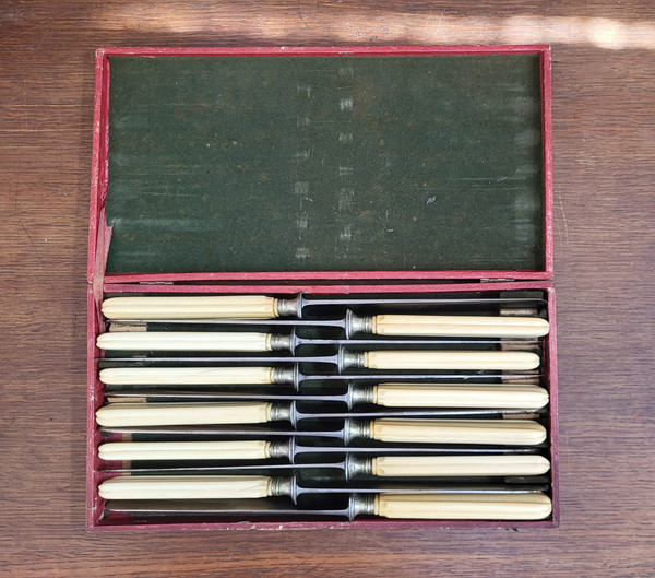 12 table knives, steel blade and ivory handle