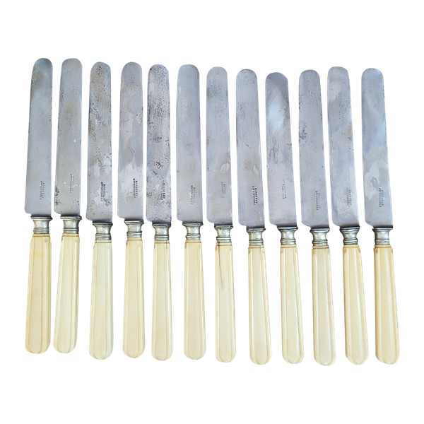 12 table knives, steel blade and ivory handle