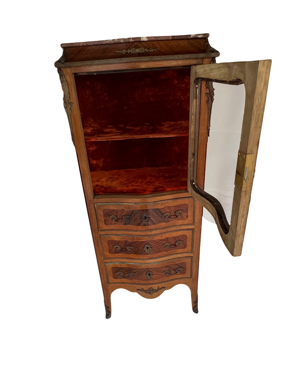 Rare Louis XV Display Case 19th Century