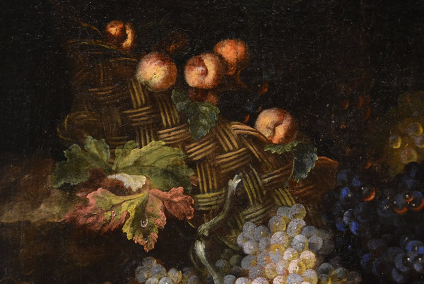 Stillleben mit Früchten und Eidechse, Franz Werner von Tamm (Hamburg 1658-Wien 1754)
