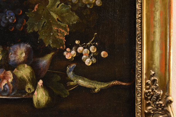 Stillleben mit Früchten und Eidechse, Franz Werner von Tamm (Hamburg 1658-Wien 1754)